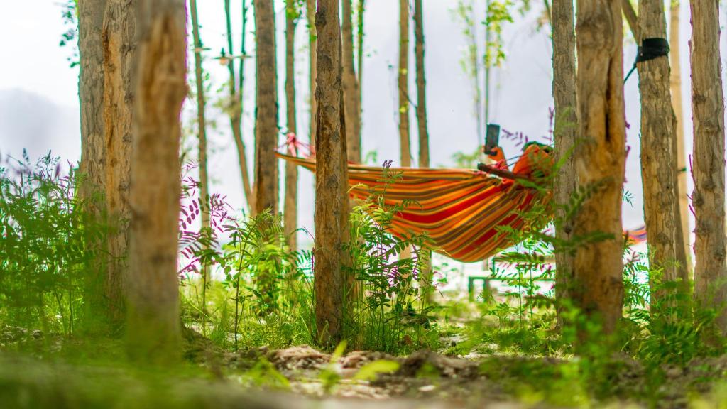 Khoj Resort Shigar, Skardu