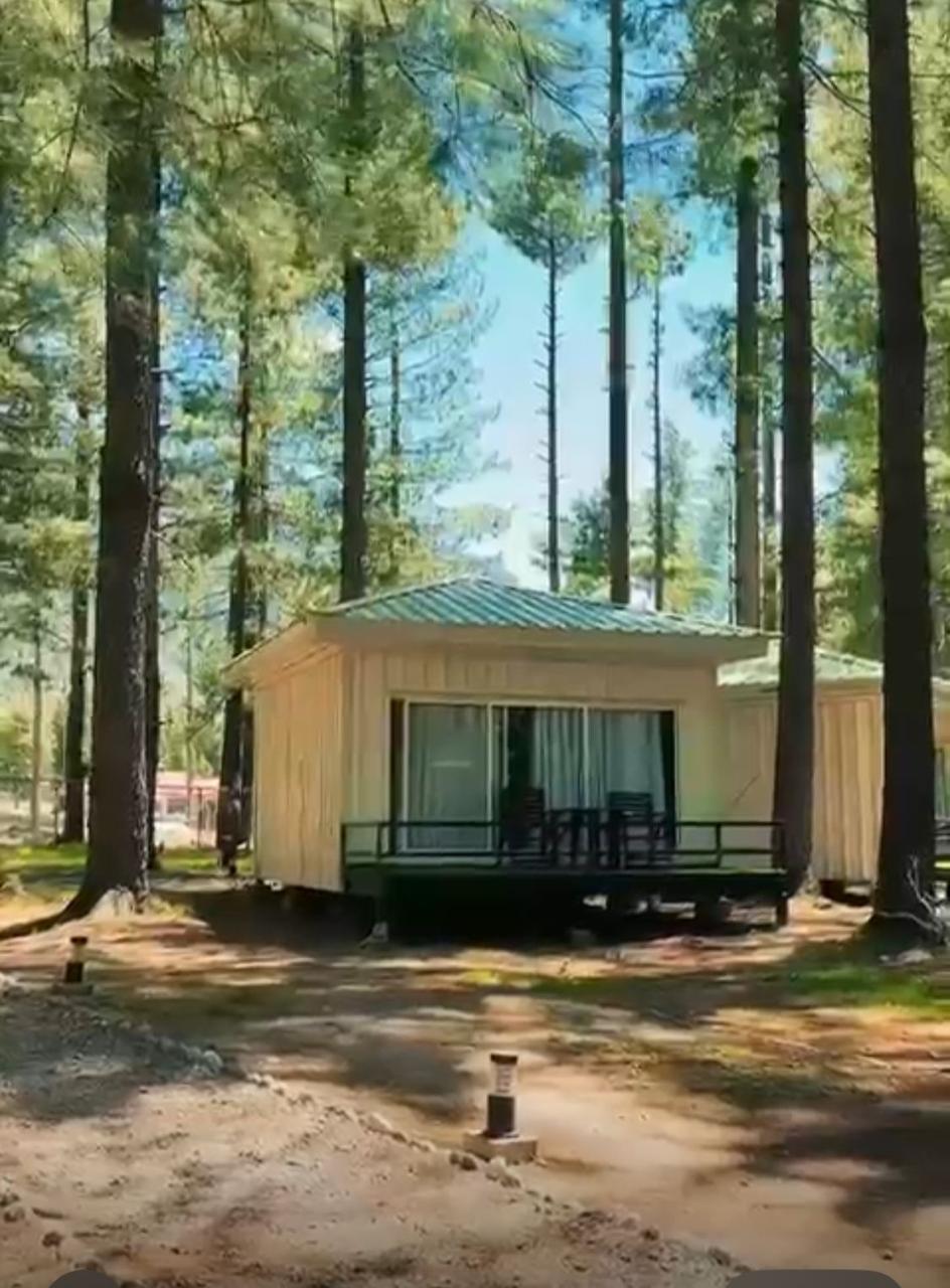 Mountain Lodge Resort, Kumrat Forest