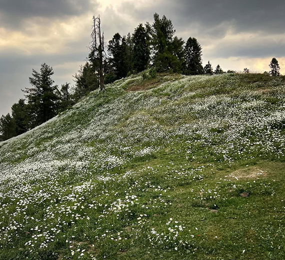 Day trip to Mushkpuri Top