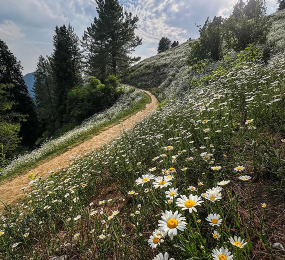Day trip to Mushkpuri Top