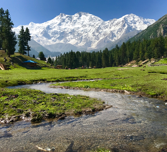 Fairy Meadows, Nanga Parbat & Naltar Valley - Families Only