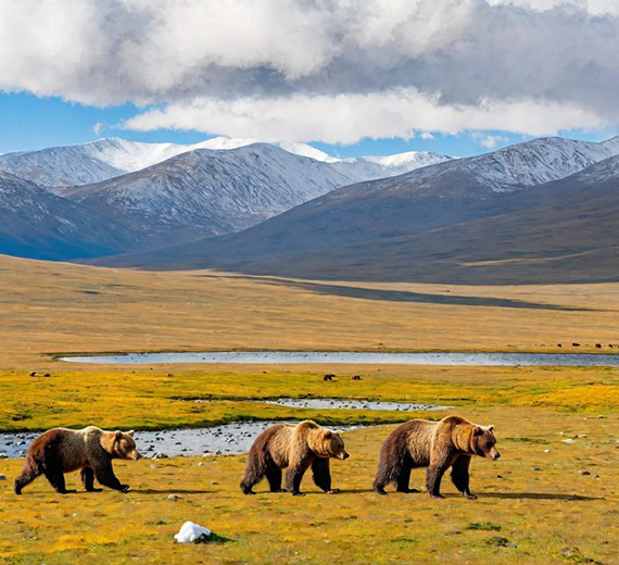 Skardu, Deosai Plains & Manthoka Waterfall - Brothers Only