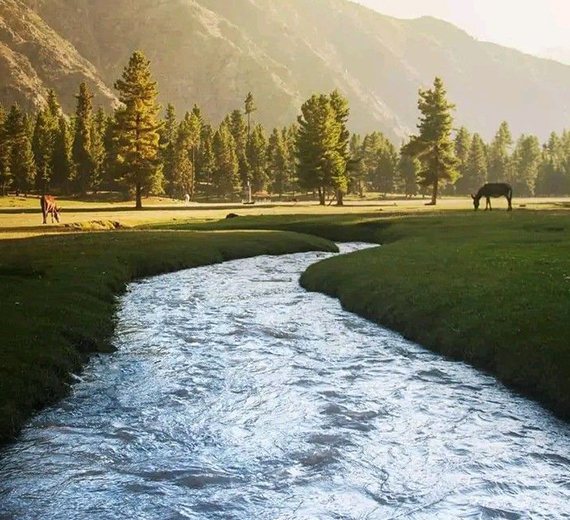 Minimarg, Astore Valley, Rainbow Lake & Deosai Plains - Brothers Only