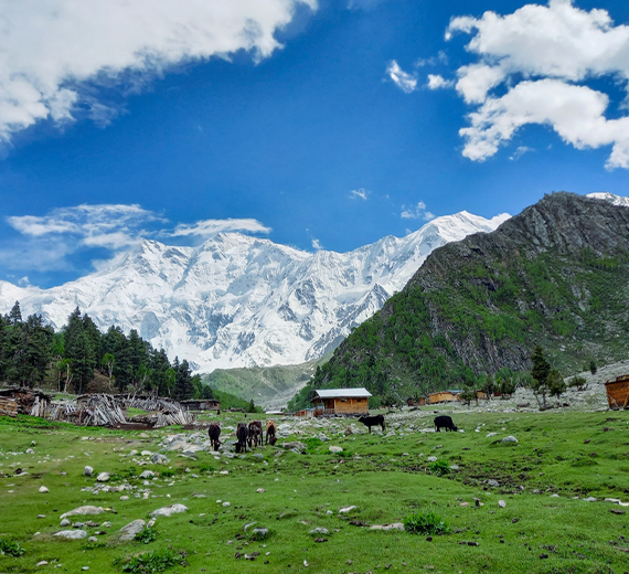 Fairy Meadows & Nanga Parbat View Point - Brothers Only