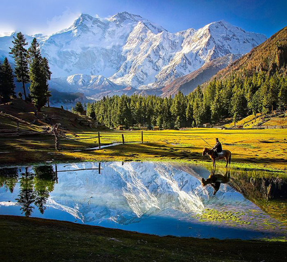 Fairy Meadows & Nanga Parbat View Point - Brothers Only
